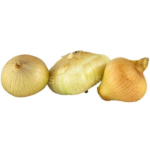 SWEET ONION VIDALIA