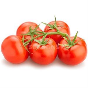 TOMATO STEM