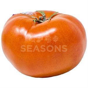 TOMATO BEEFSTEAK