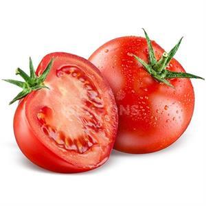 TOMATO SLICING