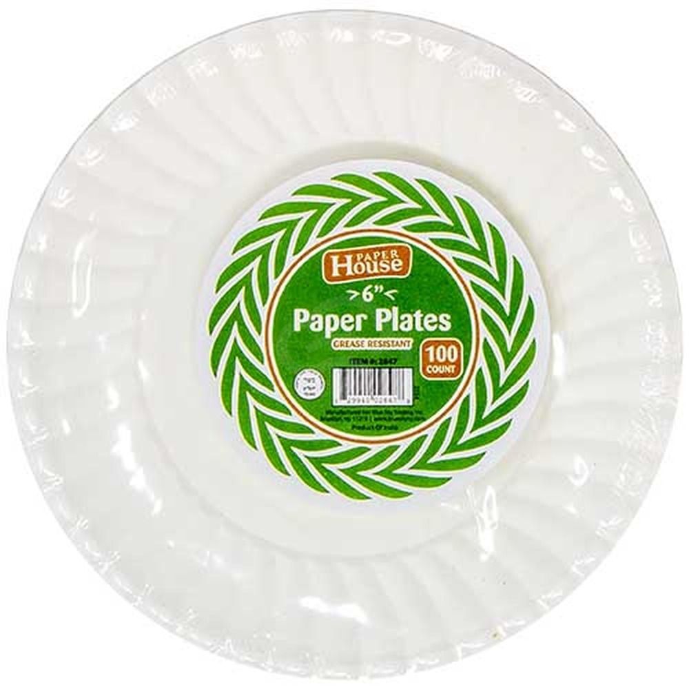 100 paper plates best sale