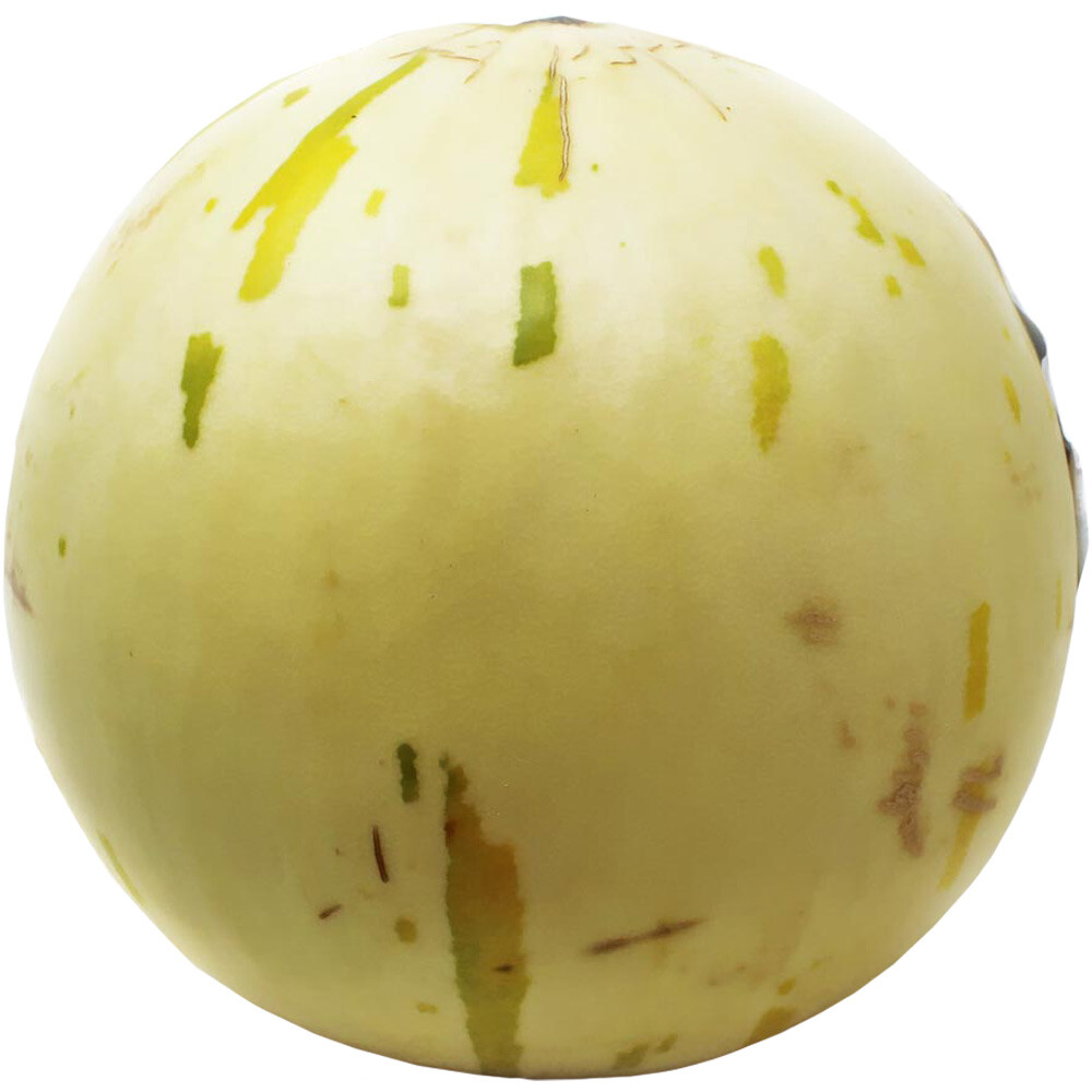 Dino Melon