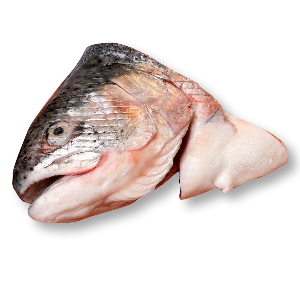 Images Of Fish Heads New Discovery On Fish's Face Changes Science