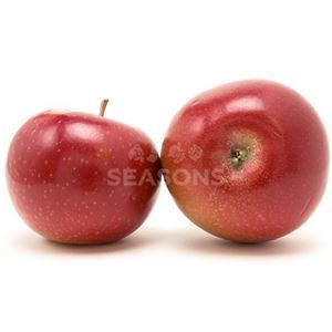 https://seasonskosher.com/content/images/thumbs/0170338_apple-sugar-bee_300.jpeg
