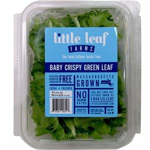 Little Leaf Baby Crispy Green Leaf -  Online Kosher  Grocery Shopping and Delivery Service